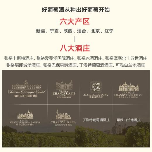 张裕 新疆葡园 干白葡萄酒750ml 国产红酒 商品图5