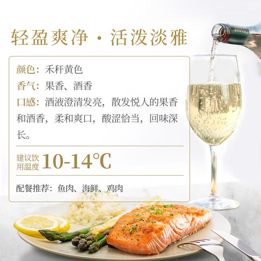 张裕 新疆葡园 干白葡萄酒750ml 国产红酒 商品图3