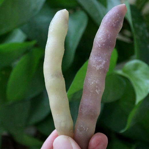 冷冻黄金钩豆角  烹香绵软炖着吃特别好吃 1斤 商品图3