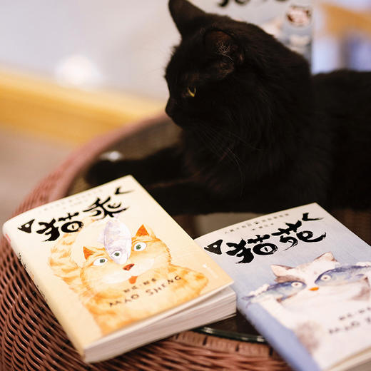 《猫苑猫乘》 | 作家榜经典 带你看透猫的808个小秘密 商品图5