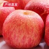 【洛川苹果】12枚装 约7斤（85mm）（产地直发） 商品缩略图1