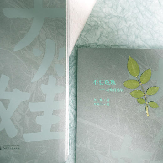 不要玫瑰  灰娃自选集 商品图1