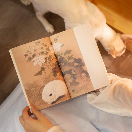 《猫苑猫乘》 | 作家榜经典 带你看透猫的808个小秘密 商品图8