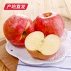 【洛川苹果】12枚装 约7斤（85mm）（产地直发） 商品缩略图4
