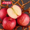 【洛川苹果】12枚装 约7斤（85mm）（产地直发） 商品缩略图0