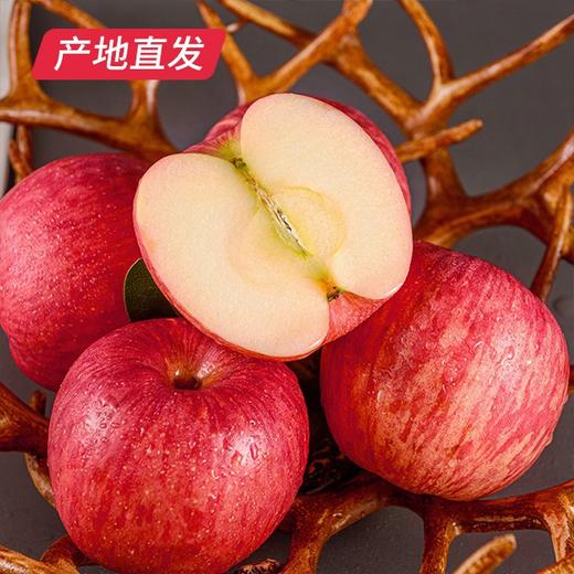 【洛川苹果】12枚装 约7斤（85mm）（产地直发） 商品图0