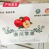【洛川苹果】12枚装 约7斤（85mm）（产地直发） 商品缩略图8