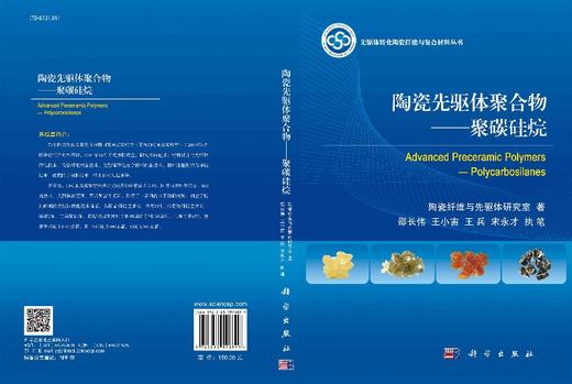 陶瓷先驱体聚合物——聚碳硅烷 商品图3