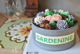 多肉花盆加高款