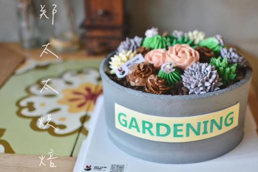多肉花盆加高款 商品图0