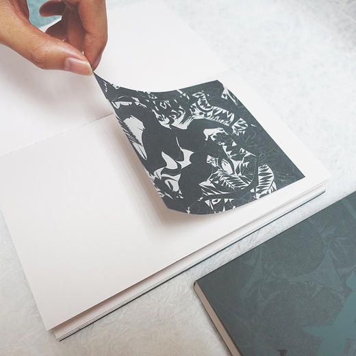 不要玫瑰  灰娃自选集 商品图3