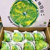 冬季新品，静秋棠-冰糖甜桔柚上市。海拔2000米高山硒土种植，冰糖口感，像吃甜橘子一样爽嫩清火、 商品缩略图8