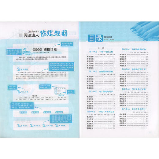钟书金牌 同步阅读 五年级 配套部编版教材 著名作家安武林倾情 附赠同步基础知识手册 5年级同步阅读 上海大学出版社 商品图2