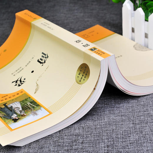 简爱书籍正版 人民教育出版社 原著完整版无删减 9年级/九年级下册部编版文学书目 初中生课外书新编统编语文教材配套阅读 商品图3