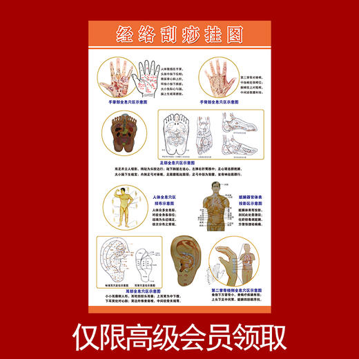 会员福利丨经络刮痧图  每人限领1次 商品图0