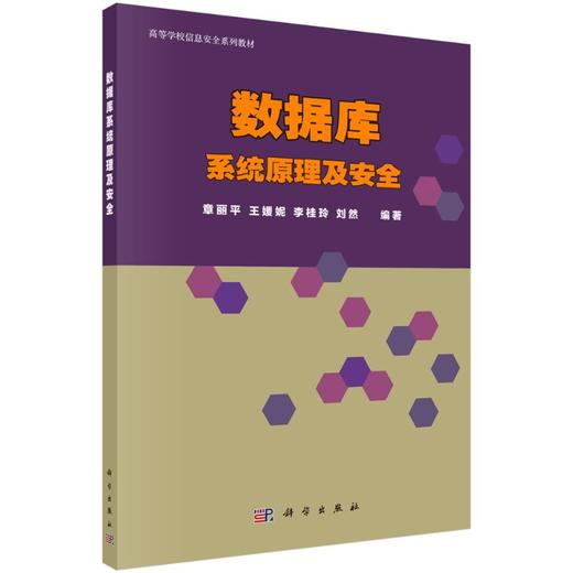 数据库系统原理及安全 商品图0