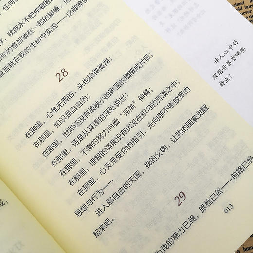 泰戈尔诗选 人民教育出版社完整无删减版 初中统编语文教材配套阅读九年级上册人教版语文 部编版9年级课外阅读名著书籍 商品图3