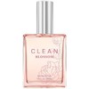 Clean Blossom EDP 30ML   60ML  香水JPY带授权招加盟代理 商品缩略图1