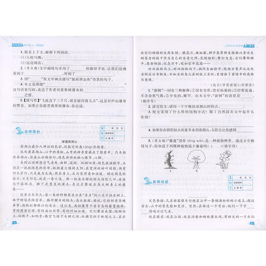 钟书金牌 同步阅读 四年级 配套部编版教材 著名作家安武林倾情 附赠同步基础知识手册 4年级同步阅读 上海大学出版社 商品图3