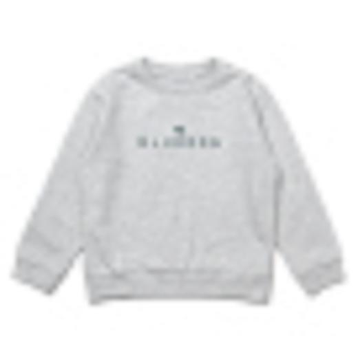 [BLUEDOG] BLUEDOG TRAINING SET 兒童運動服套裝JPY带授权招加盟代理 商品图1