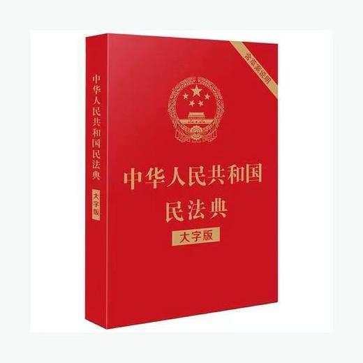民法典（大字版） 商品图0