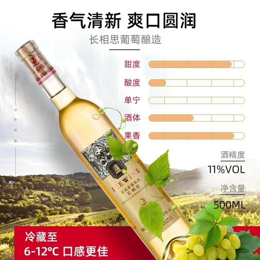 莫高 长相思冰酒 冰白葡萄酒甜酒 500ml 单盒装 商品图1