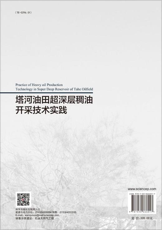 塔河油田超深层稠油开采技术实践 商品图1