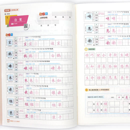 华夏万卷 小学生同步写字课 五年级上册 统编版 5年级第一学期正楷写字课 全彩版 语文核心素养练字帖 上海交通大学出版社 商品图3