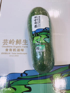 那云那南高原有机迷你冬瓜