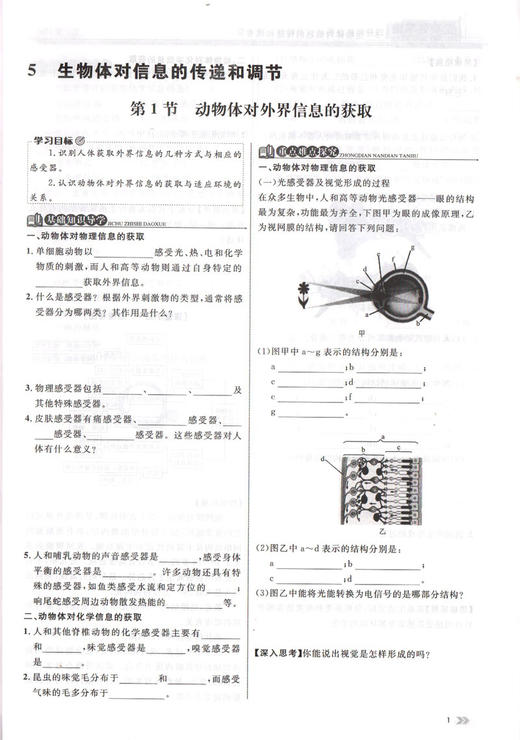 钟书金牌金典导学案 生命科学 高中第二册 上海版 学练考三合一 适合参加新高考的学生使用 上海高中高2年级二年级学生生物总复习 商品图3
