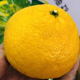 冬季新品，静秋棠-冰糖甜桔柚上市。海拔2000米高山硒土种植，冰糖口感，像吃甜橘子一样爽嫩清火、
