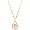 CLUE SIMPLE WATER DROP 10K GOLD NECKLACE CLN19571T 项链JPY带授权招加盟代理 商品缩略图1