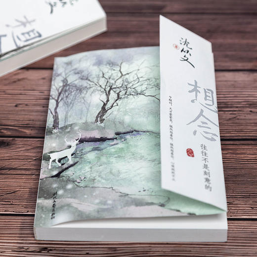 正版《想念，往往不是刻意的》一辈子也讲不完的温柔与爱 商品图0