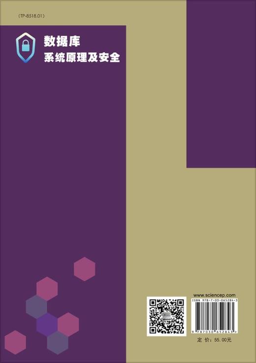 数据库系统原理及安全 商品图1