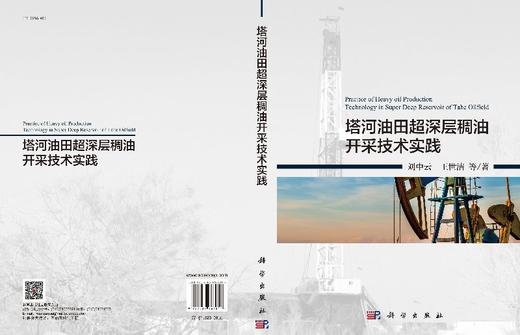 塔河油田超深层稠油开采技术实践 商品图3