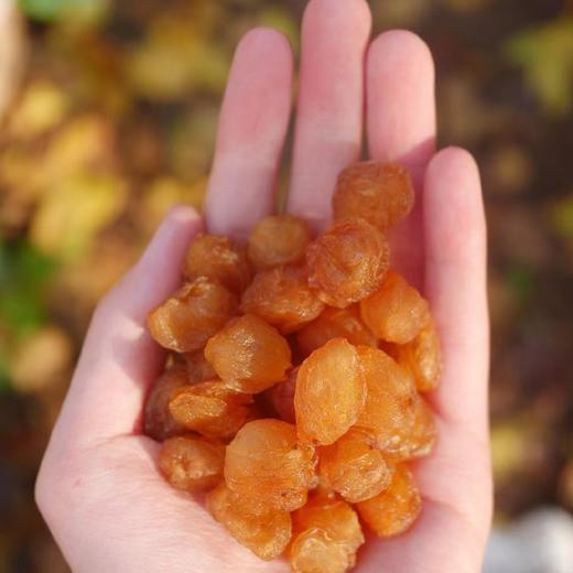 高州野生老树鸡眼桂圆肉 500g（发新包装） 商品图0