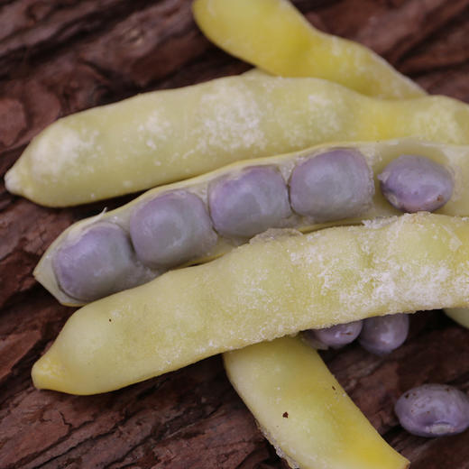 冷冻黄金钩豆角  烹香绵软炖着吃特别好吃 1斤 商品图6