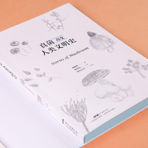 zhen菌改变人类文明史：一株菌丝，搅动6000年人类文明史 商品图8