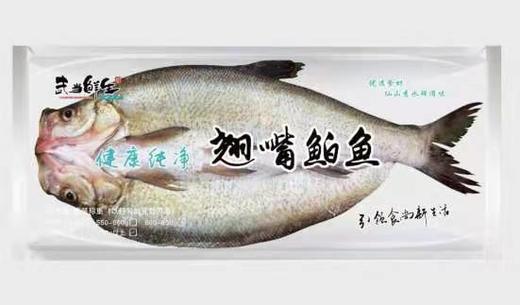 【生鲜预订】冰鲜白鱼速冻/风干白鱼 商品图1