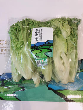 那云那南有机绿罗莎生菜