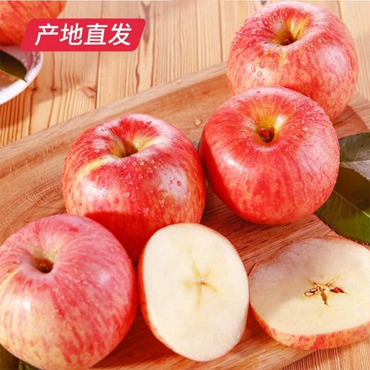 【洛川苹果】12枚装 约7斤（85mm）（产地直发） 商品图2