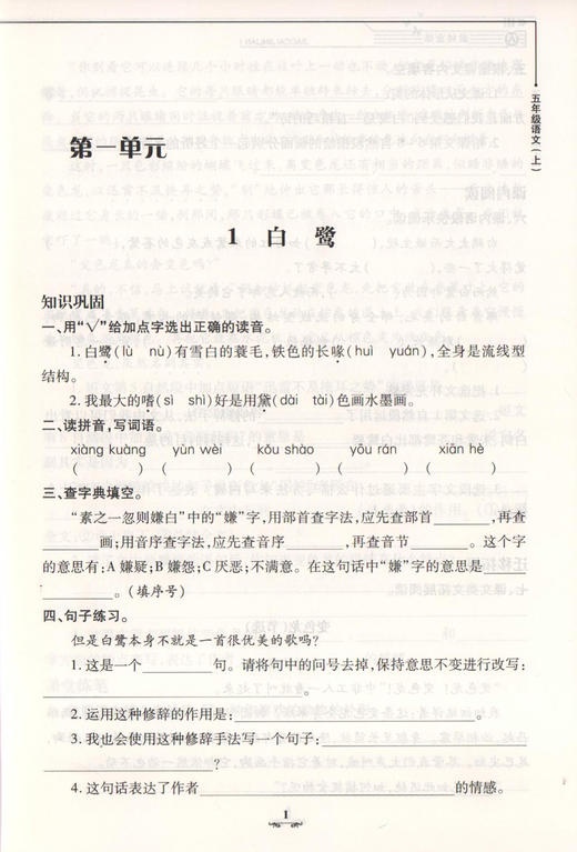 钟书金牌 教材金练 部编版 语文 5年级上/五年级第一学期 语文 5语上 统编版上海小学教材教辅课后同步配套练习 商品图3