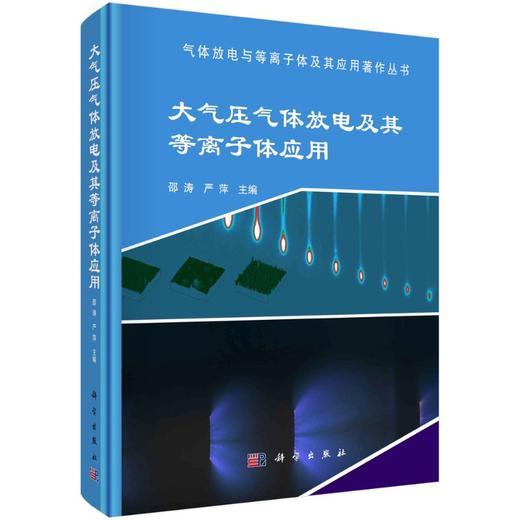 大气压气体放电及其等离子体应用 商品图0