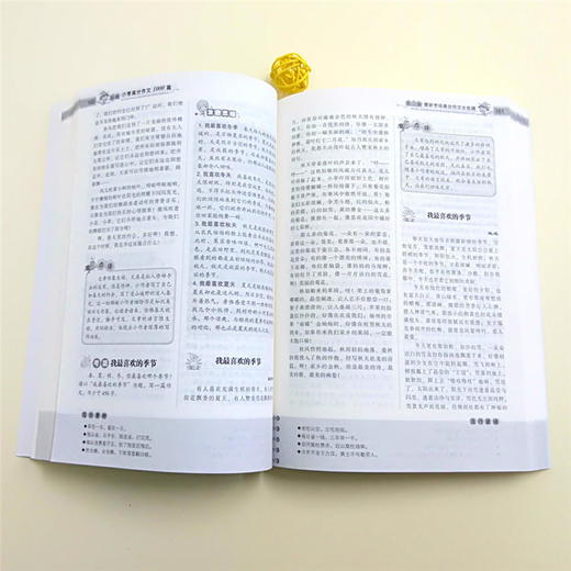 波波乌作文大宝库 最新小考满分作文1000篇 季小兵编 小学生作文辅导获奖范文大全 小学生3-6年级作文素材书籍教辅 商品图2
