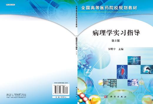 病理学实习指导（第2版）罗殿中 商品图3
