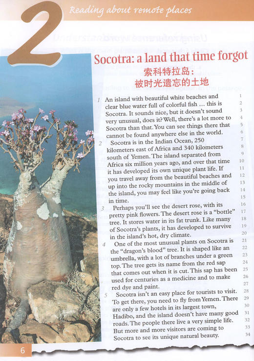 初中英语拓展阅读 3 上海教育出版社 适合初三年级学生使用 中学生课外英语阅读辅导书籍 商品图3