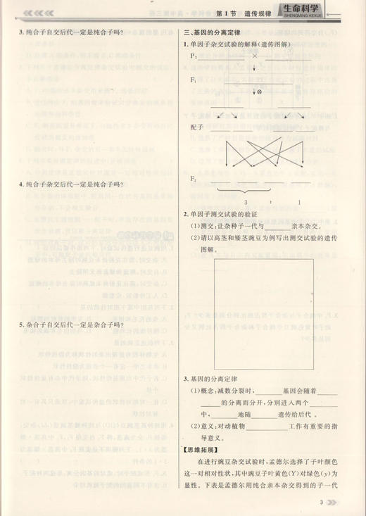 钟书金牌 金典导学案 生命科学 高中第三册 上海版 学练考三合一 适合参加新高考的学生使用 上海高中三年级学生生物总复习 商品图4