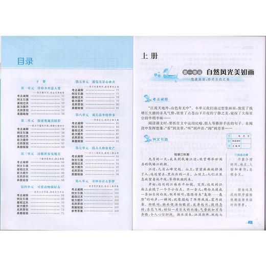 钟书金牌 同步阅读 四年级 配套部编版教材 著名作家安武林倾情 附赠同步基础知识手册 4年级同步阅读 上海大学出版社 商品图2