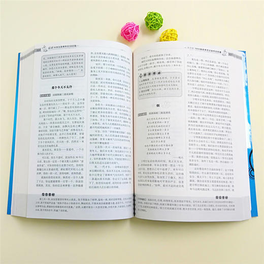 波波乌作文大宝库 最新中学生获奖作文1000篇 季小兵编 中学生作文辅导获奖范文大全 初中生789年级作文素材教辅书籍 商品图3