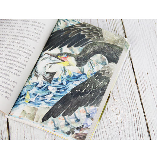 稻草人叶圣陶正版三四五六年级课外书必读小学生老师 阅读语文 8-12岁儿童文学天天出版社畅销人民教育经典 商品图2